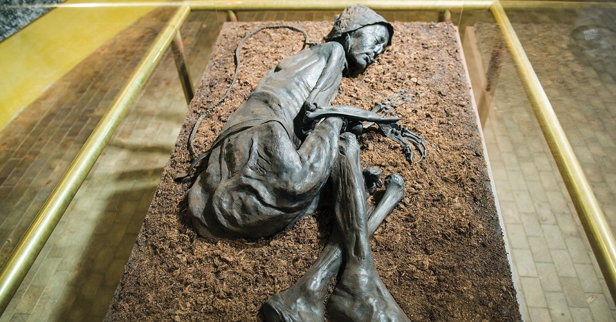 https://scienceworld.scholastic.com/content/dam/classroom-magazines/scienceworld/issues/2017-18/103017/mystery-of-the-bog-bodies/SW-103017-Bog-Popup4.jpg
