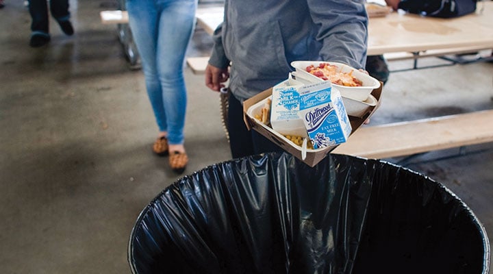 Ways To Stop Food Waste In Schools