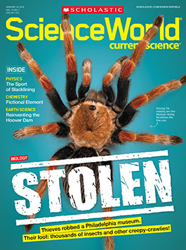 scholastic science magazine scienceworld january classroom cover