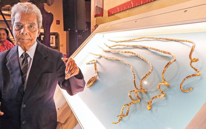 Woman with Guinness World Record for Longest Fingernails Cuts Them after 30  Years - News18