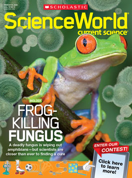 scholastic science march magazine scienceworld