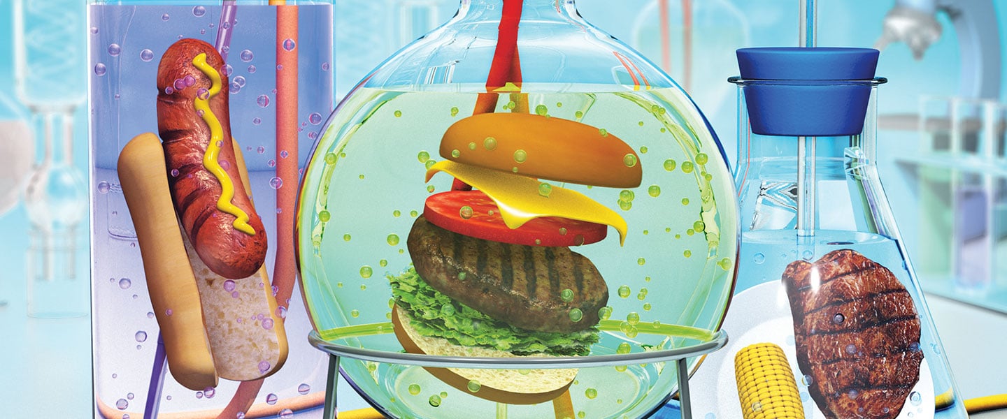 An illustration of a hotdog, a hamburger and a steak in various flasks and beakers