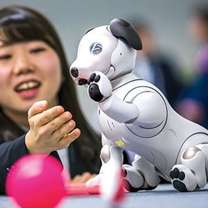 A woman giving a robot dog a high-five