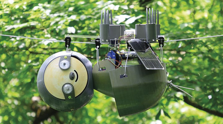 Robo-Sloth Engineering Article for Students | Scholastic Science World