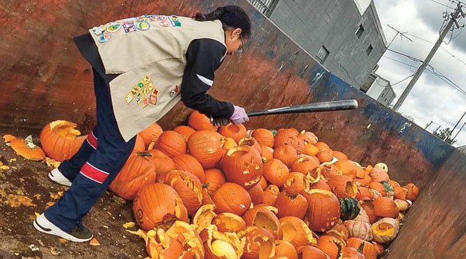 A pumpkin a day keeps the doctor away — The Food Athlete