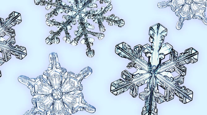 What Are Snowflakes?  Center for Science Education