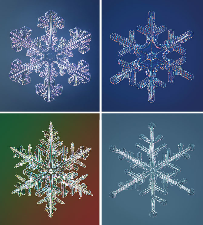 Individual Colorful Snowflakes Individual Colorful Snowflakes