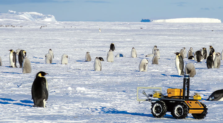 Spying on Penguins Engineering Article for Students | Scholastic ...