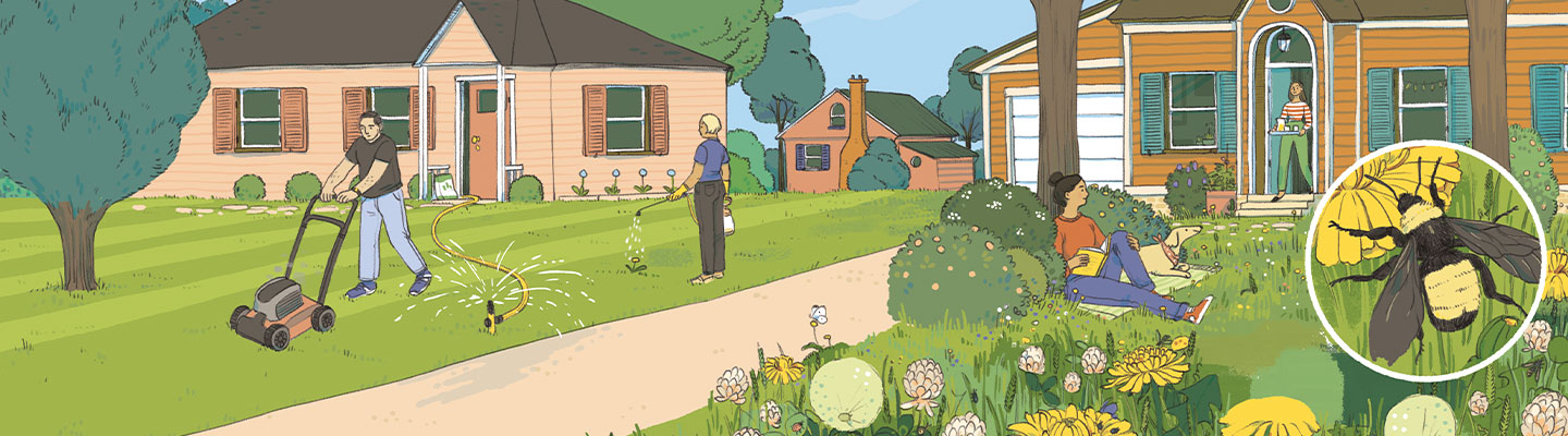 Illustration comparing a mowed grass lawn and an overgrown yard full of plants and flowers