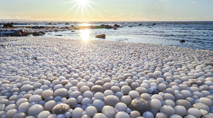 What in the World? Science Article for Students | Scholastic Science ...