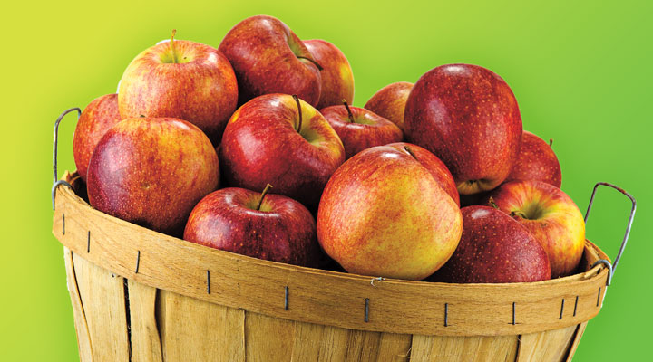 Numbers in the News: Apples | Science Article for Students | Scholastic ...
