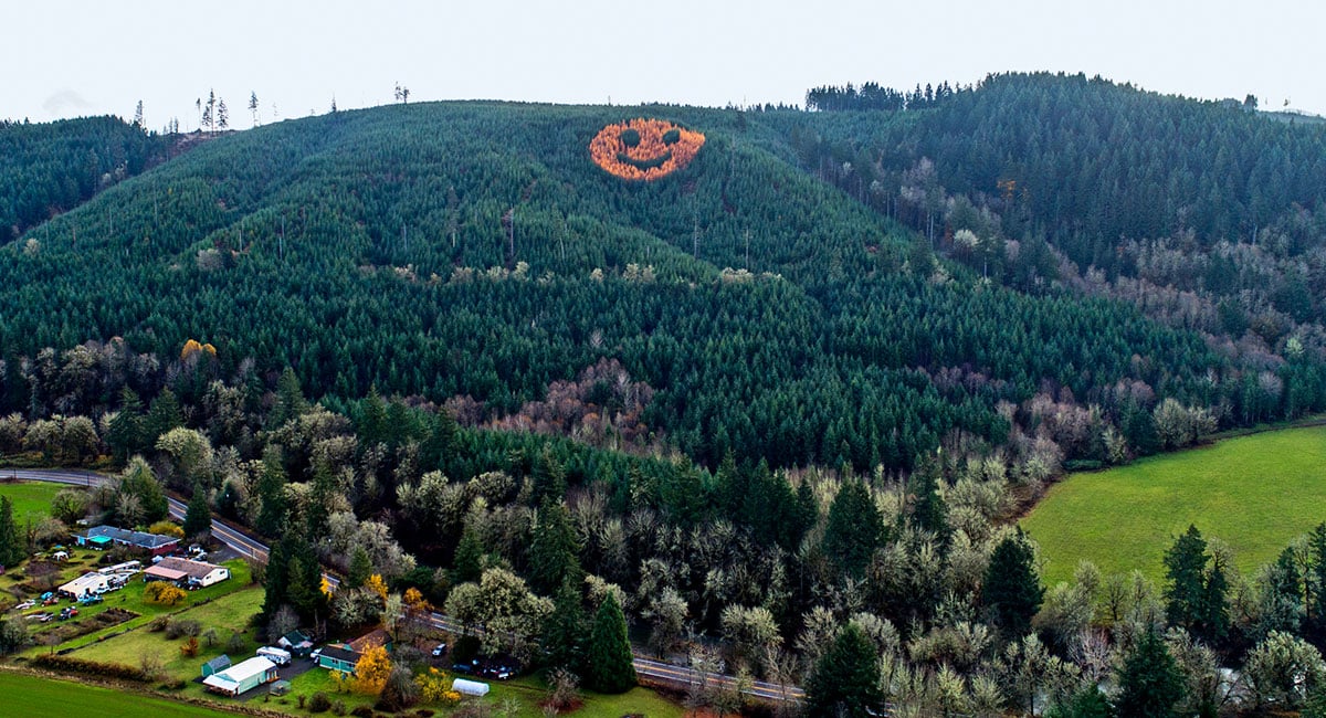 Image of a smiley face in the forest while a town is in the foreground