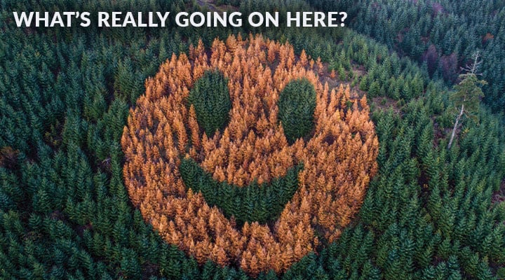 Aerial view image of a smiley face in a forest. Text, "What&apos;s Really Going on Here?"