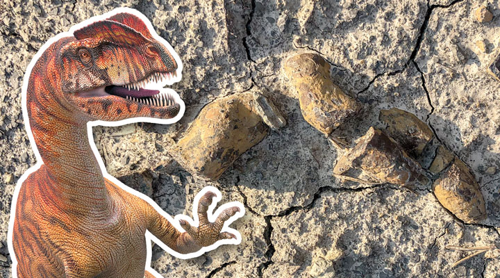 The Scoop on Prehistoric Poop | Earth Science Article for Students ...