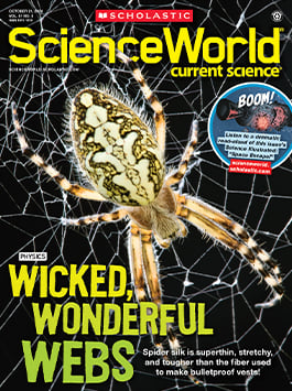 Magazine Issue Cover