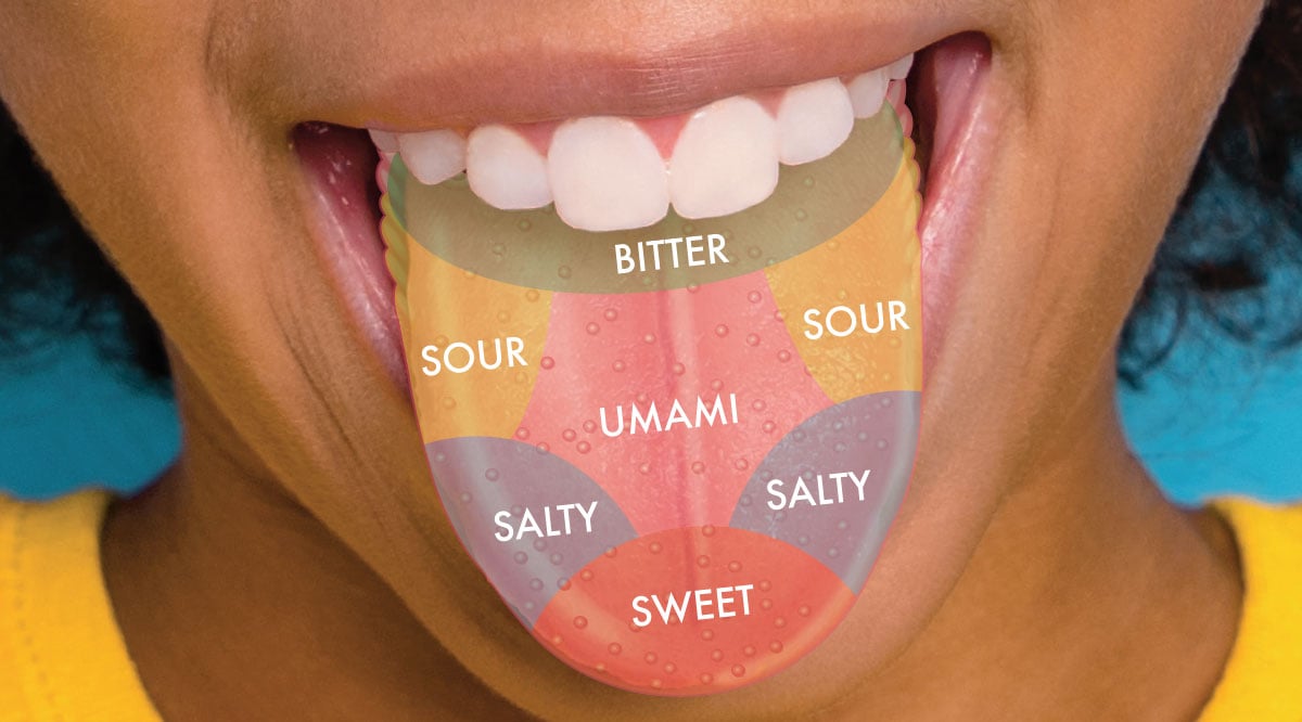 The Truth About Taste | Biology Article for Students | Scholastic Science World Magazine