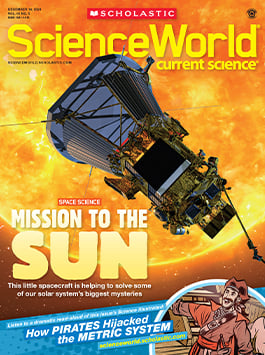 Magazine Issue Cover