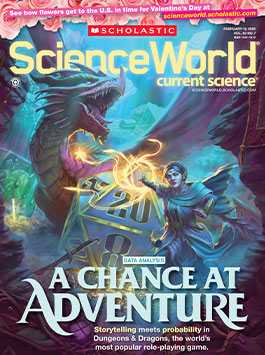 Magazine Issue Cover