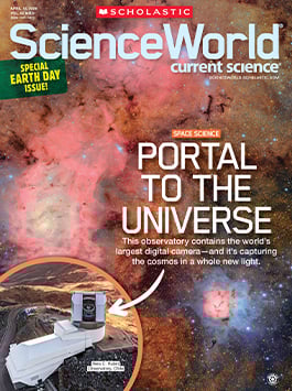 Magazine Issue Cover