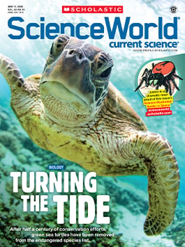Magazine Issue Cover