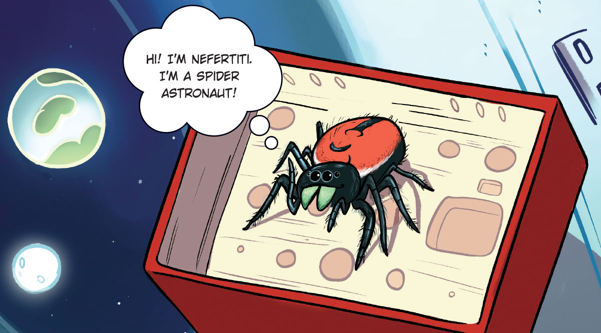 Spider in Space | Earth Science Article for Students | Scholastic