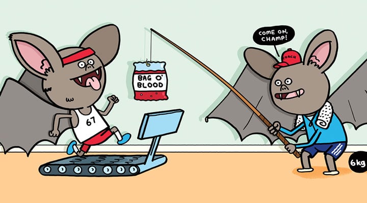 Bats on the Run | Biology Article for Students | Scholastic Science ...