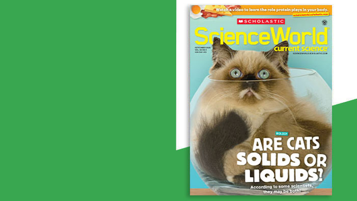 Cover of Scholastic Science World, a cat sits inside a glass bowl with the headline Are Cats Solids or Liquids