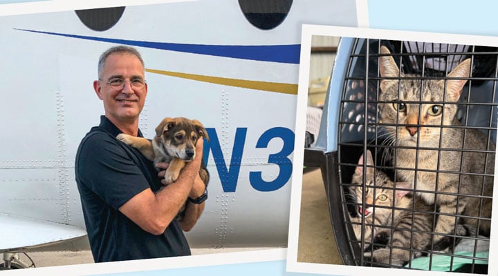 Two photos show a man who holds a puppy beside a small plane and a cat inside a travel crate